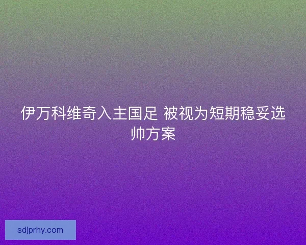 伊万科维奇入主国足 被视为短期稳妥选帅方案 伊万科维奇入主国足 被视为短期稳妥选帅方案